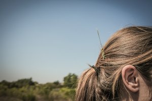 Lien vers: https://degenronslagriculture.fr/?Ressources